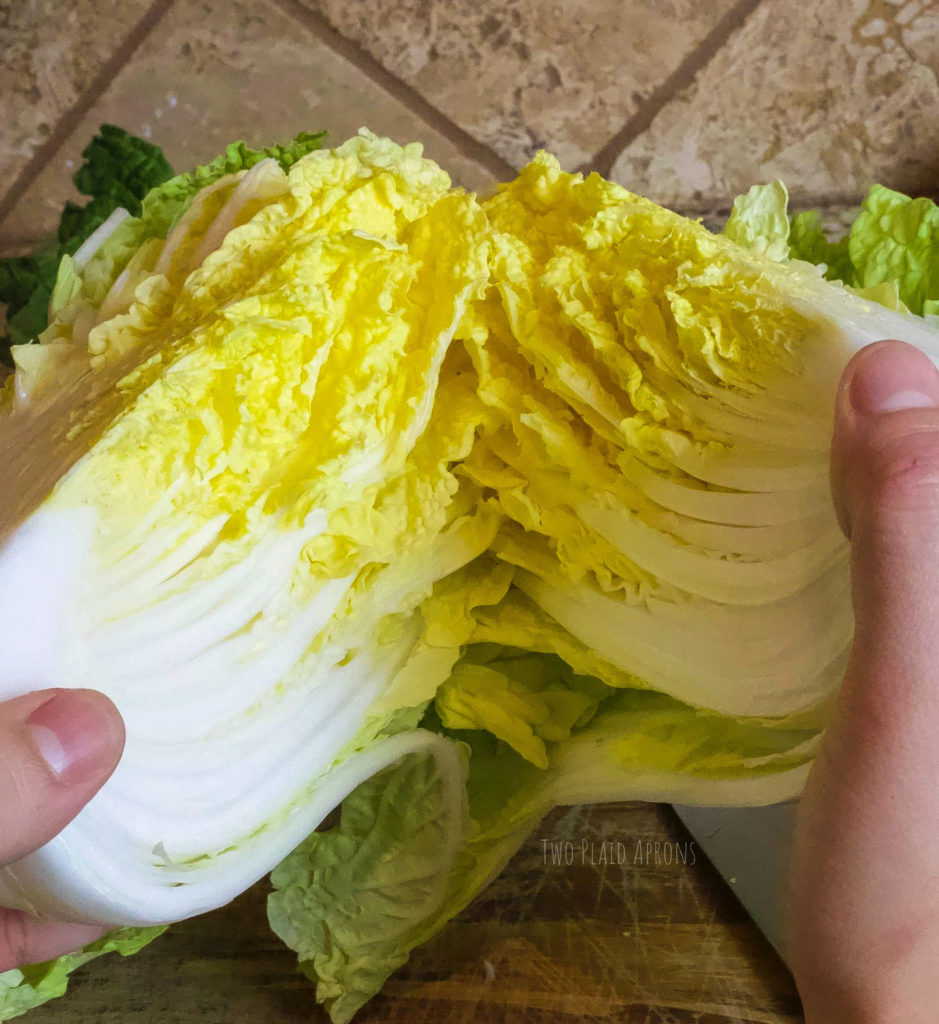 Ripping the napa cabbage into quarters by hand.