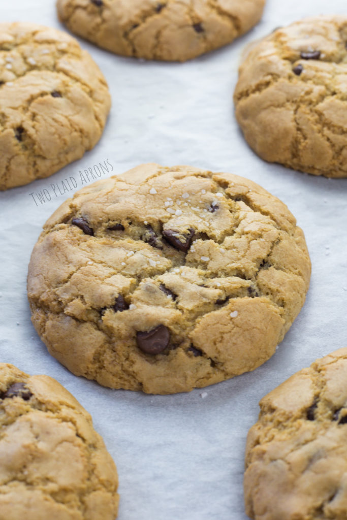Up close picture of our giant chocolate chip cookies.