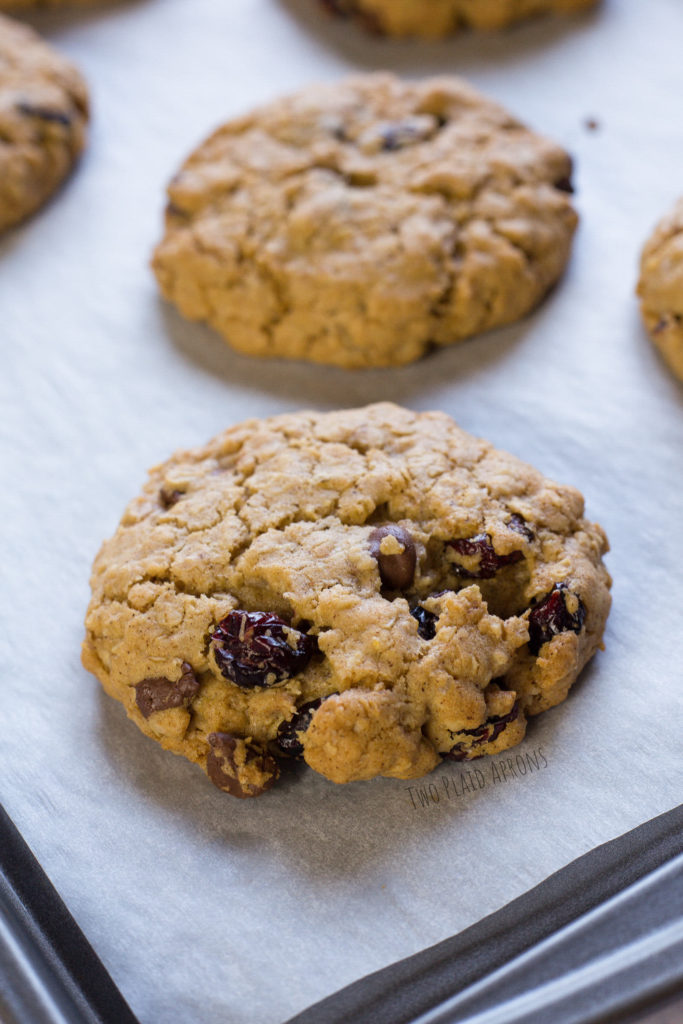 Cranberry chocolate oatmeal cookies just out of the oven!