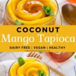 Pin of coconut mango tapioca pudding