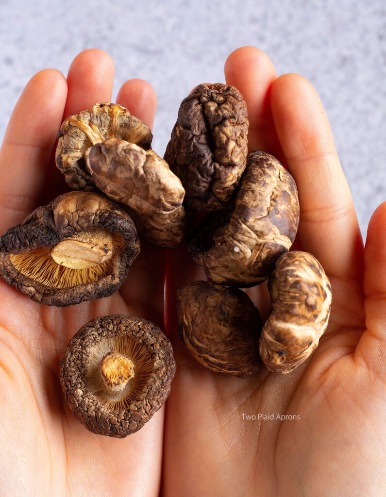 Dry shiitake mushrooms in hands.