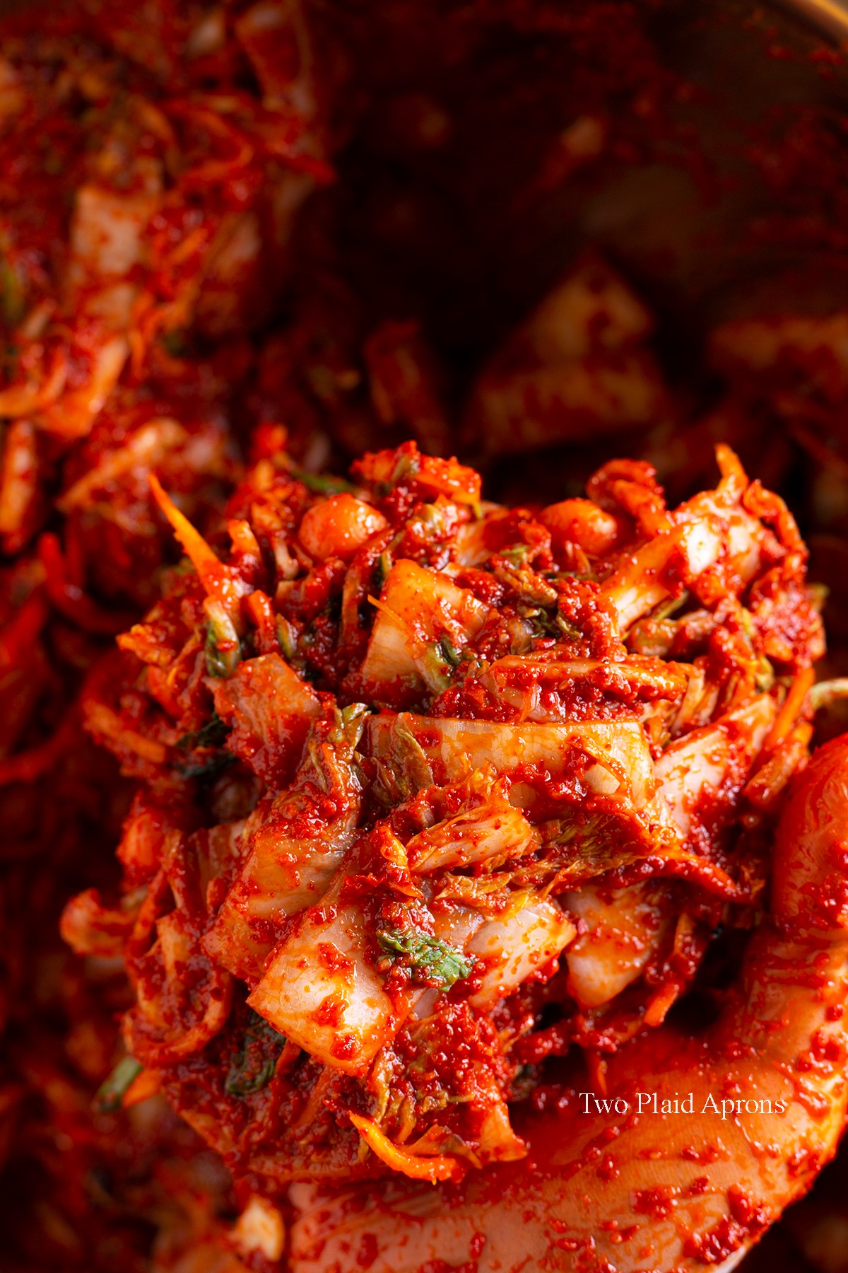 Holding a handful of our easy fresh kimchi (geotjeori) after mixing it with the kimchi paste.