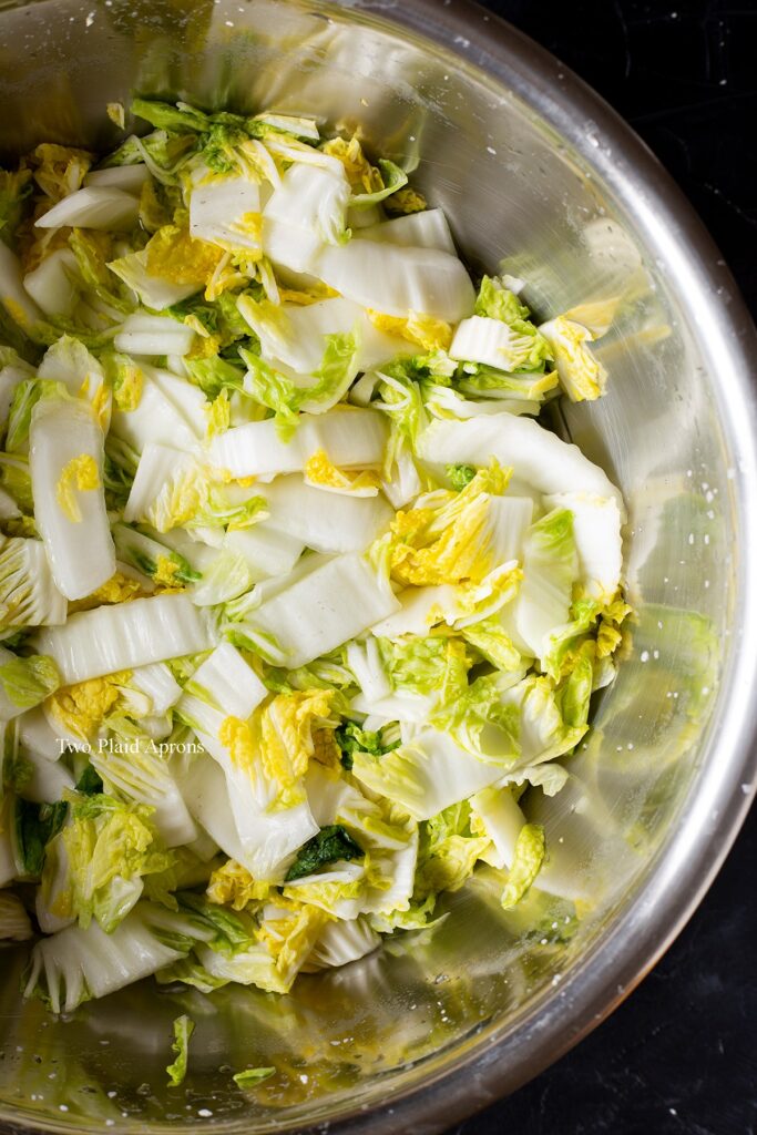 Napa cabbage looks wilted in a bowl, after 30 minutes of salting.