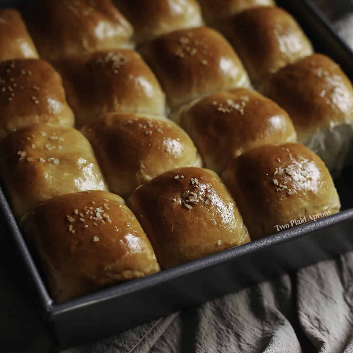 Milk Bread Rolls Recipe