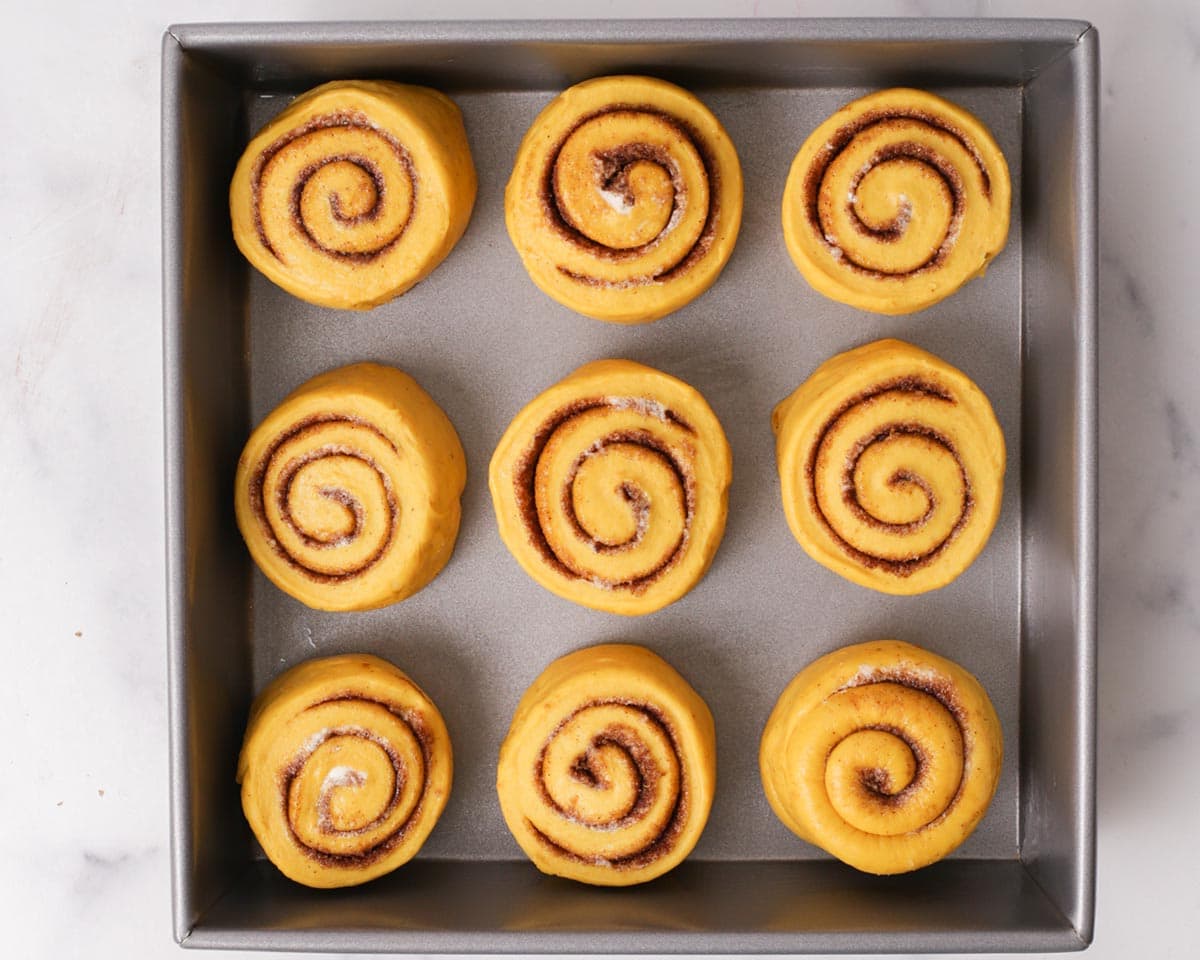 Pumpkin spiced cinnamon rolls cut and placed in pan.