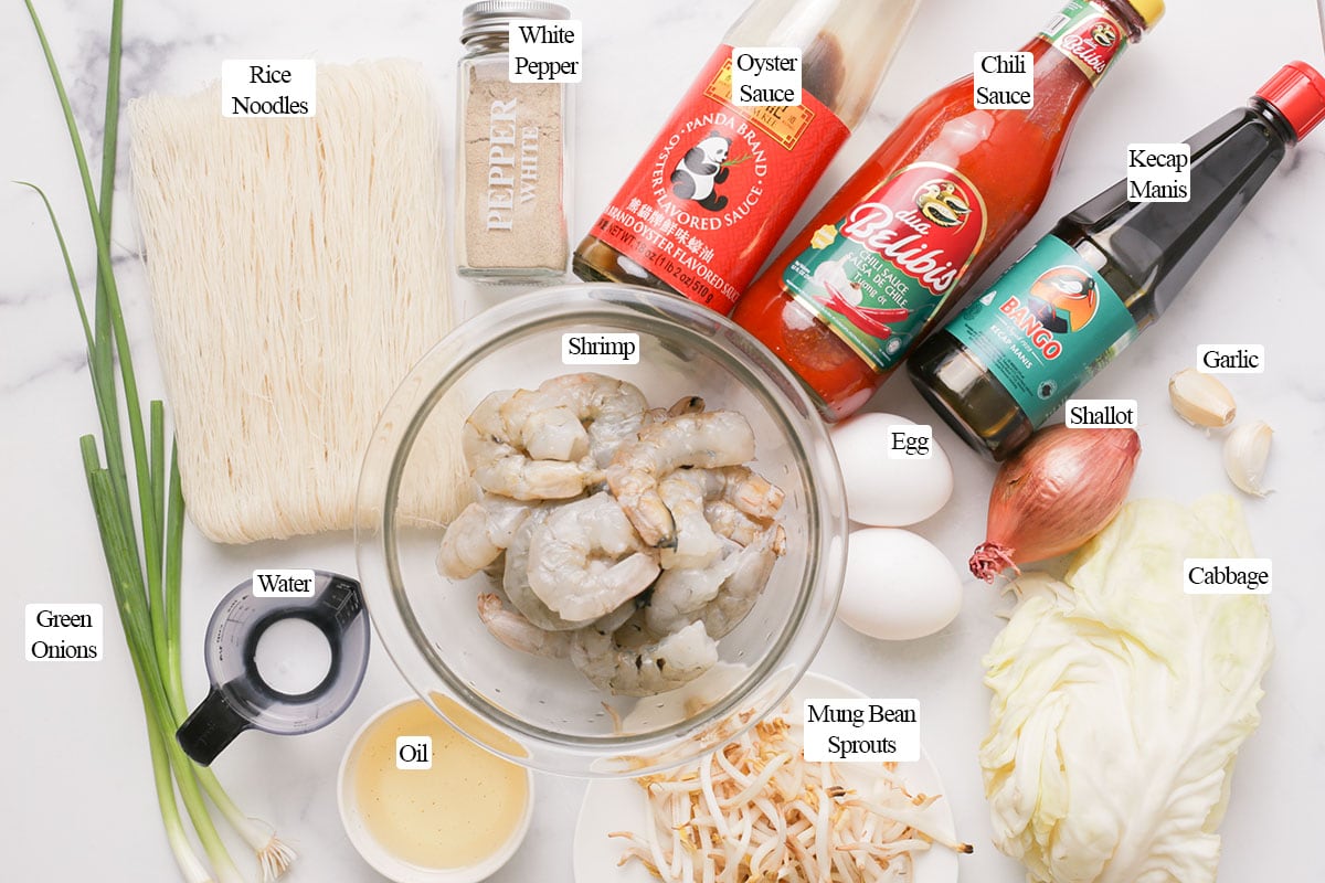 Ingredients for bihun goreng.
