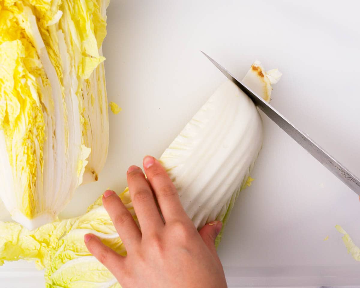 Cutting the dirty root off napa cabbage.