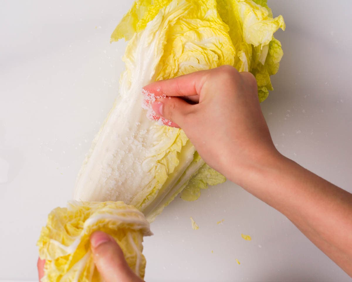Salting the napa cabbage layer.