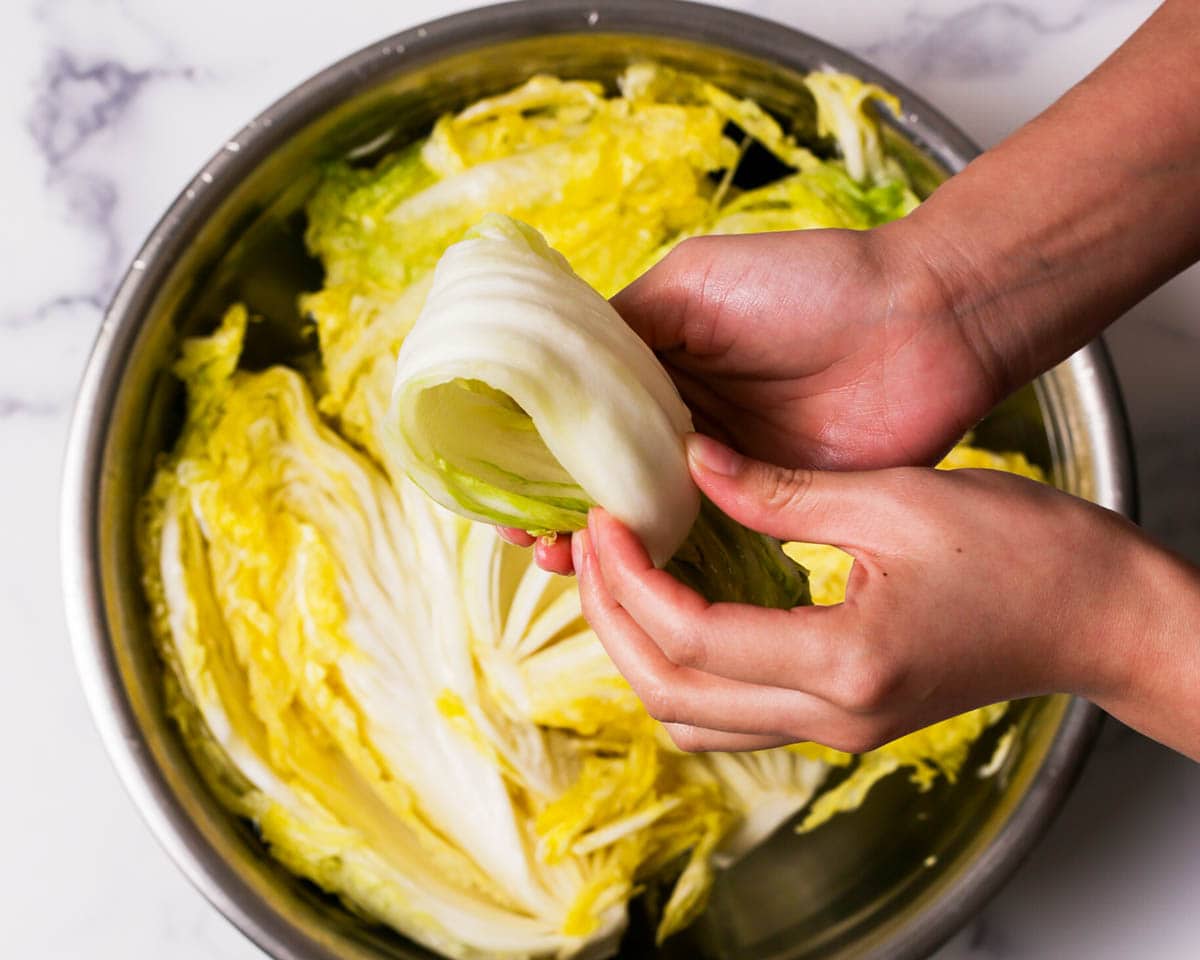 Showing the napa cabbage salted.