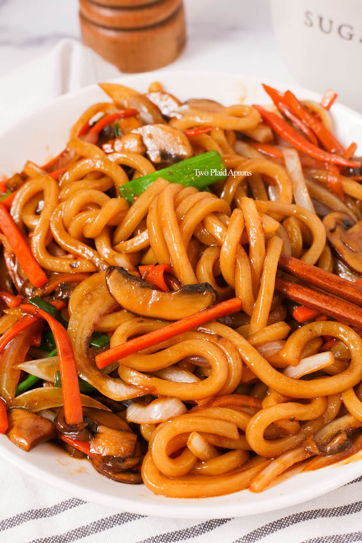 Vegetable Yaki Udon Noodles Recipe