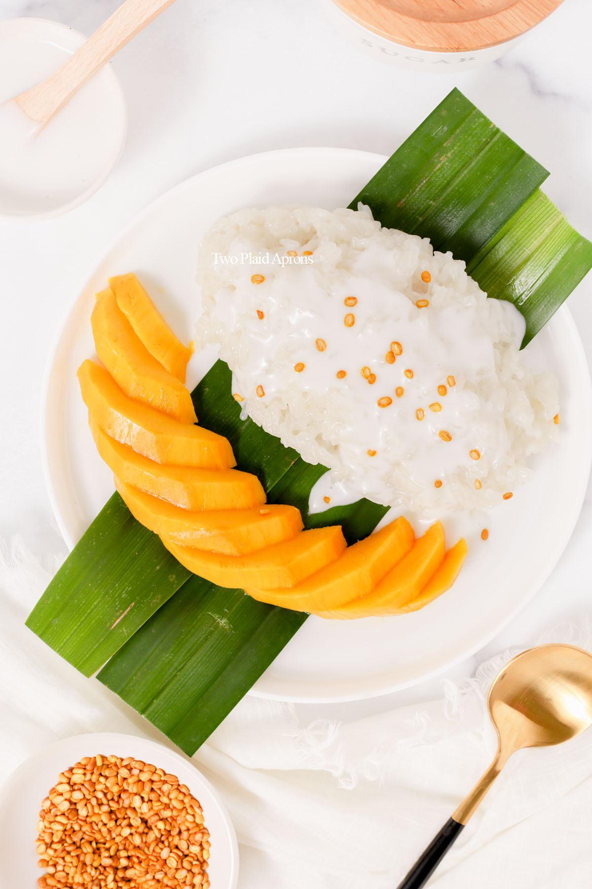 Top down of mango sticky rice on plate.
