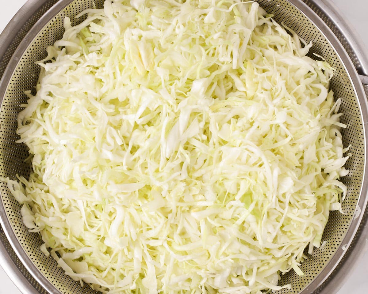Sliced cabbage and celery salted in large strainer.