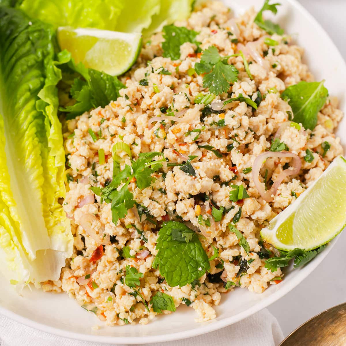 Thai Minced Chicken Salad also known as Laab Gai