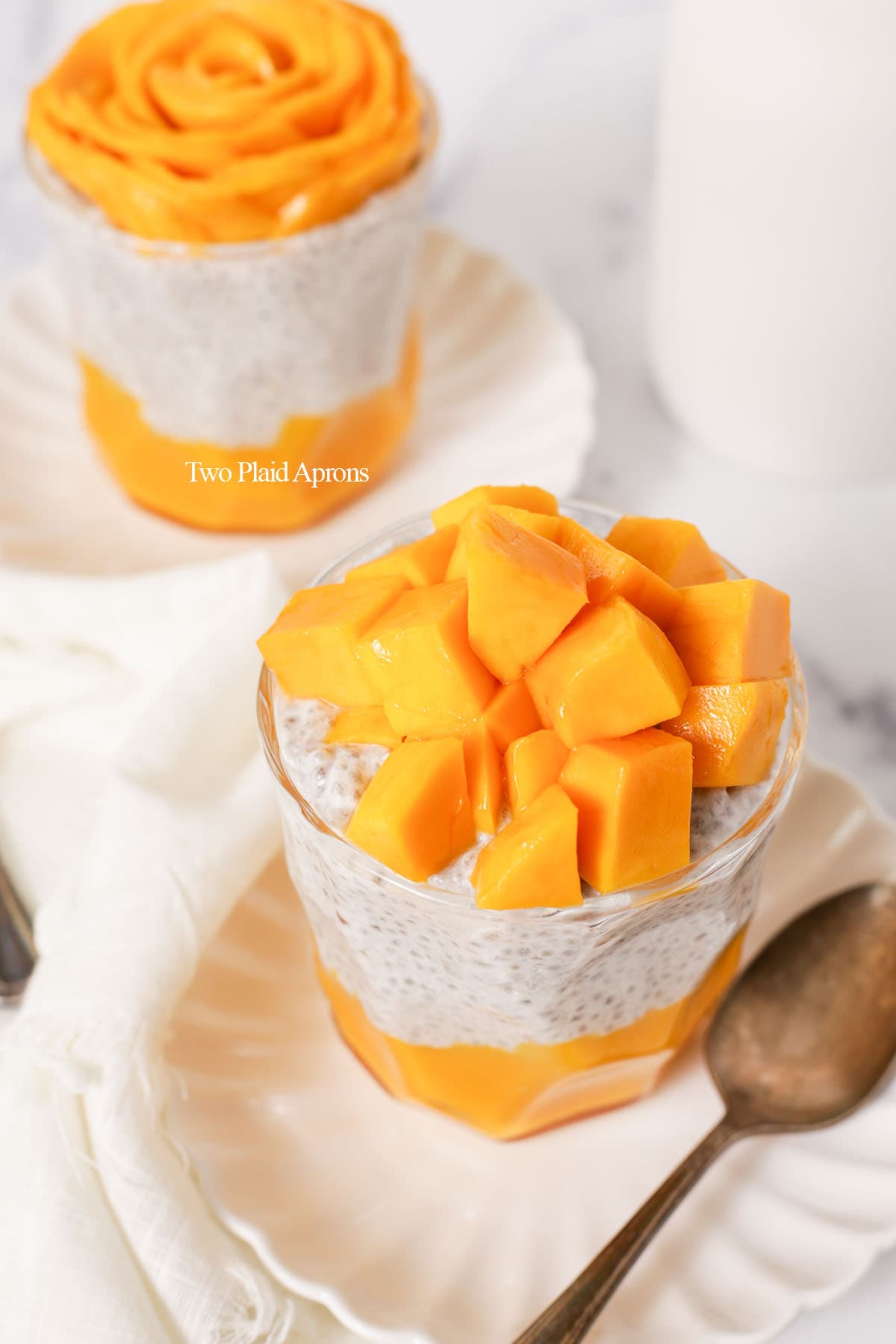 Mango Chia Pudding - Jersey Girl Cooks