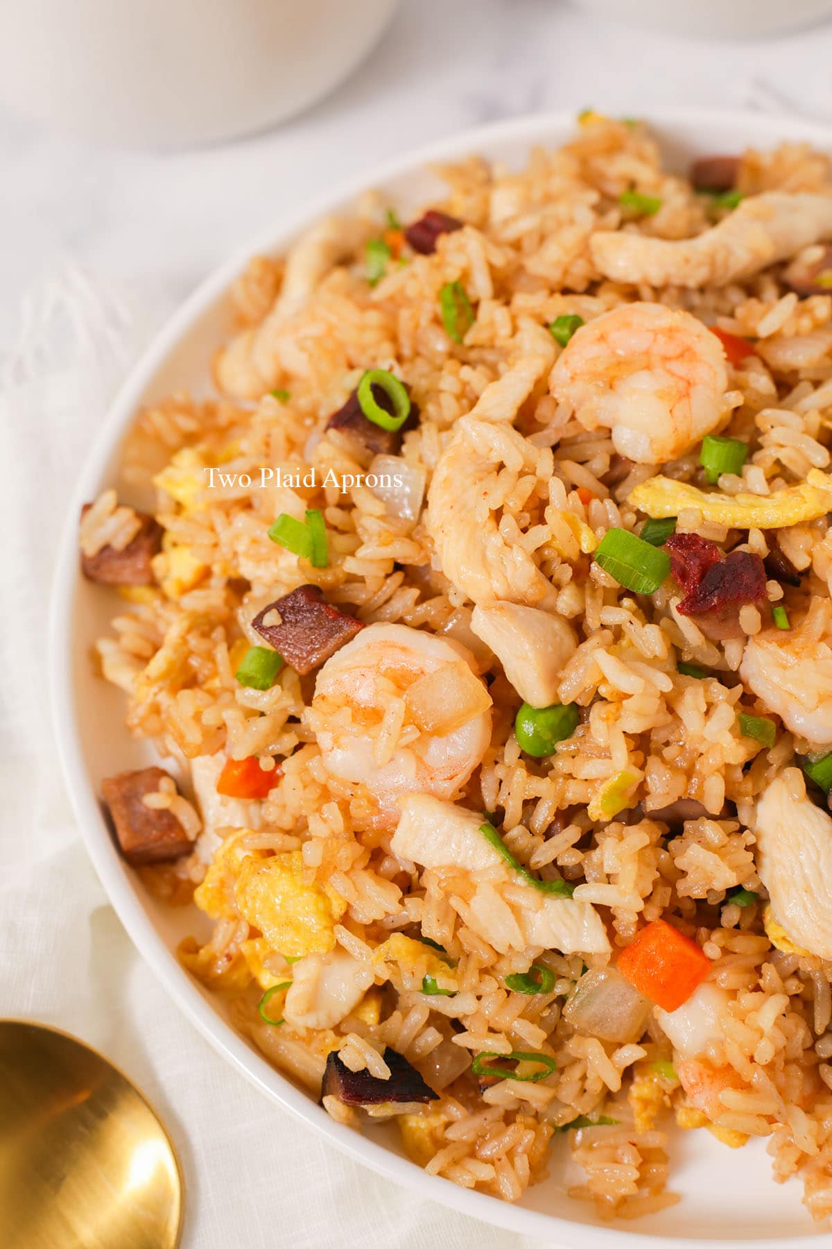 Close of house special fried rice.