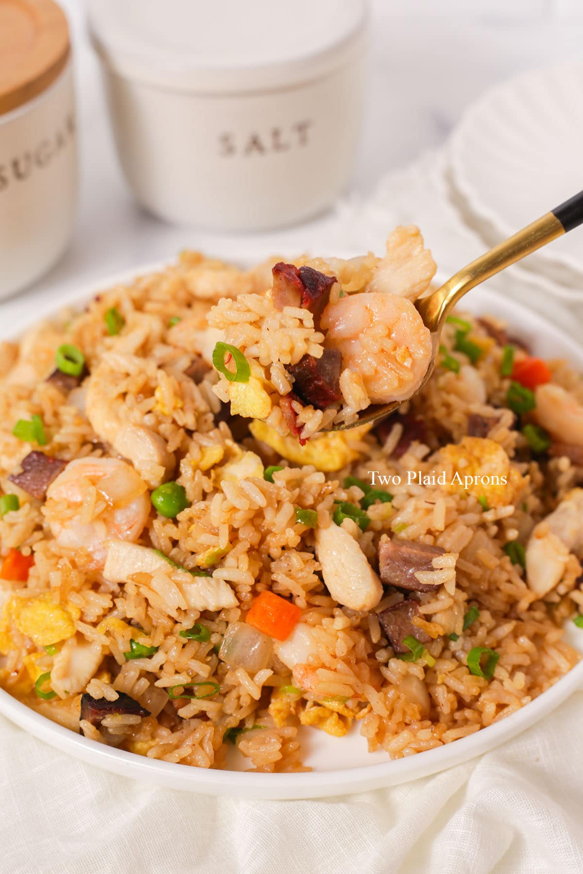 Spoonful of house special fried rice.