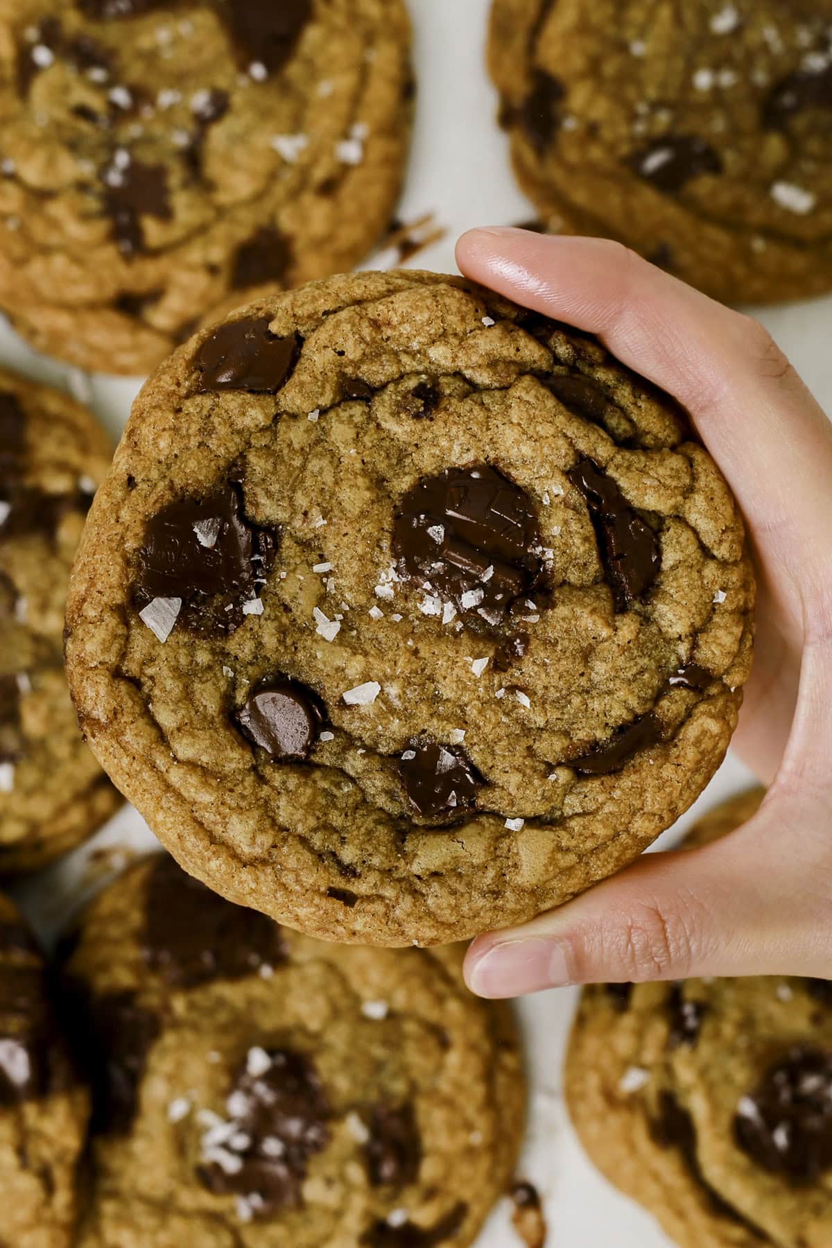 Holding a brown butter chocolate chip cookie in hand.